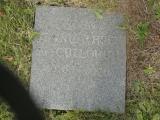 image of grave number 950739